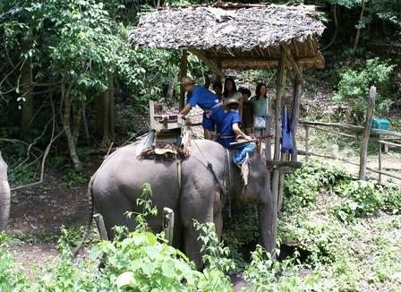 Yannis se fait arnaquer par les Lisu en Thaïlande