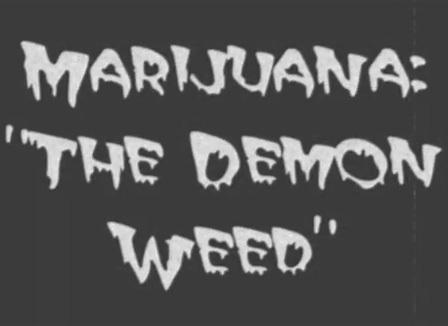 5 clips de prévention qui te donneront envie de fumer du cannabis