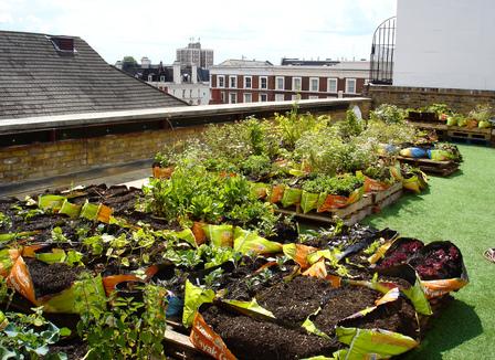 Pourquoi le vaccin fait flipper les Français