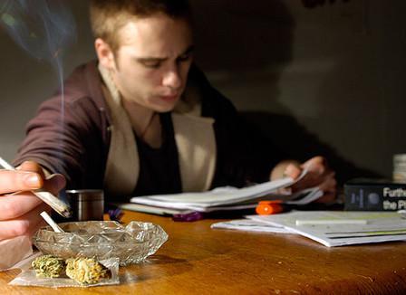 Le dossier spécial Cannabis, pour de vrai