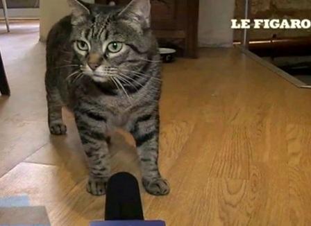 Pourquoi le vaccin fait flipper les Français