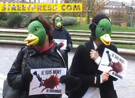 Happening: des militants écologistes se déguisent en oies contre le foie gras