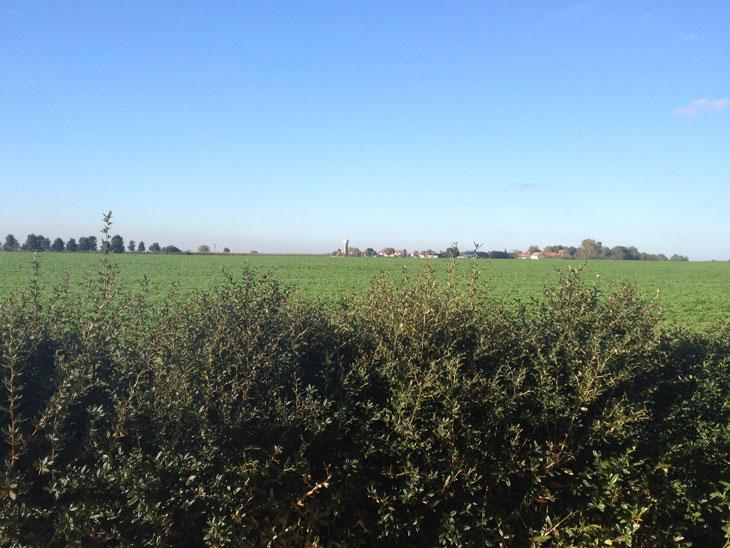 « Ici c’est la campagne : derrière les vitres en verre dépoli, un champ de maïs de Seine-et-Marne. 