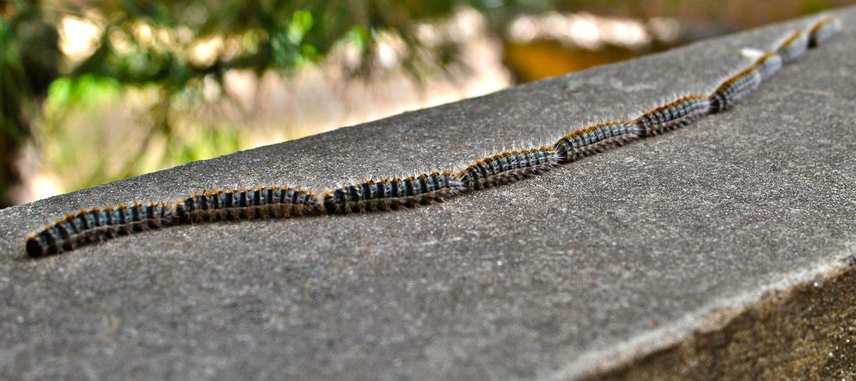 Pourquoi le vaccin fait flipper les Français