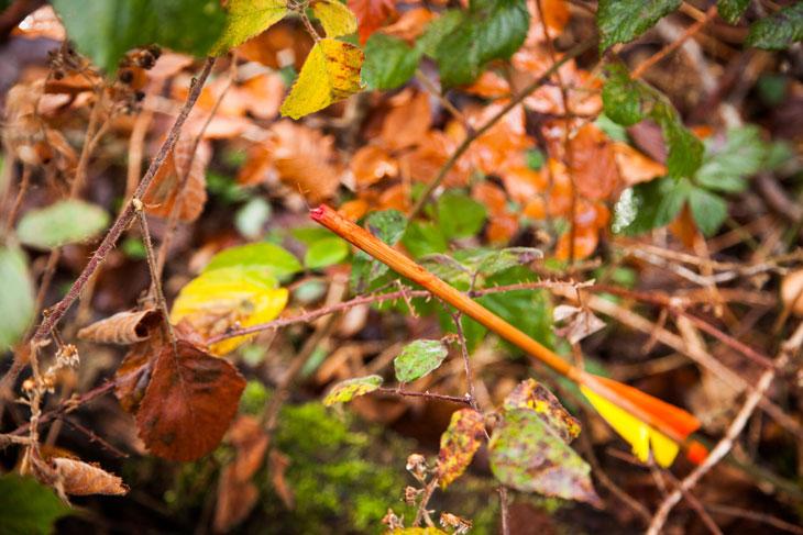 « Ça peut-être difficile à comprendre, mais nous aimons les animaux. 