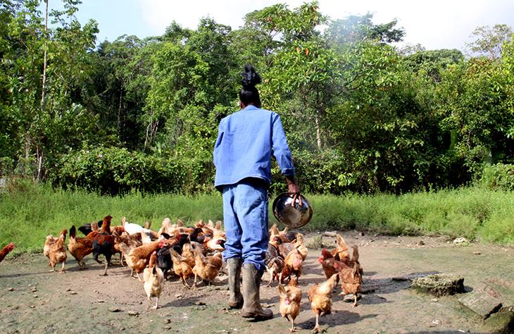 Roura, un espace de douze hectares en pleine brousse pour oublier le crack