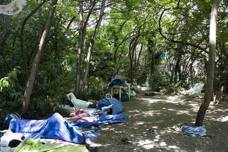 Dans les allées du Bois Dormoy