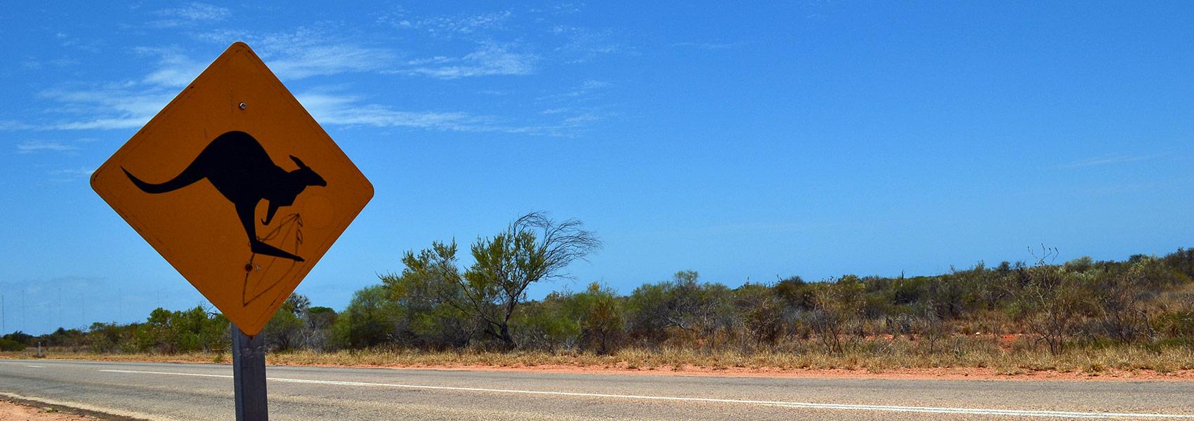 Mes 5 conseils pour réussir son Working Holiday Visa en Australie