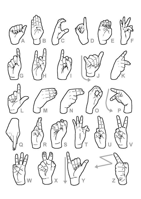 Un salon de thé vegan qui créé du lien entre sourds et entendants