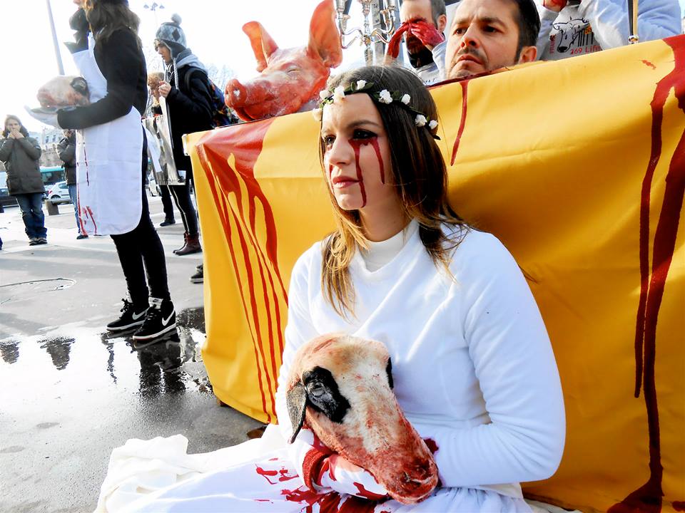 Alexandra Blanc, ultra de la cause animale