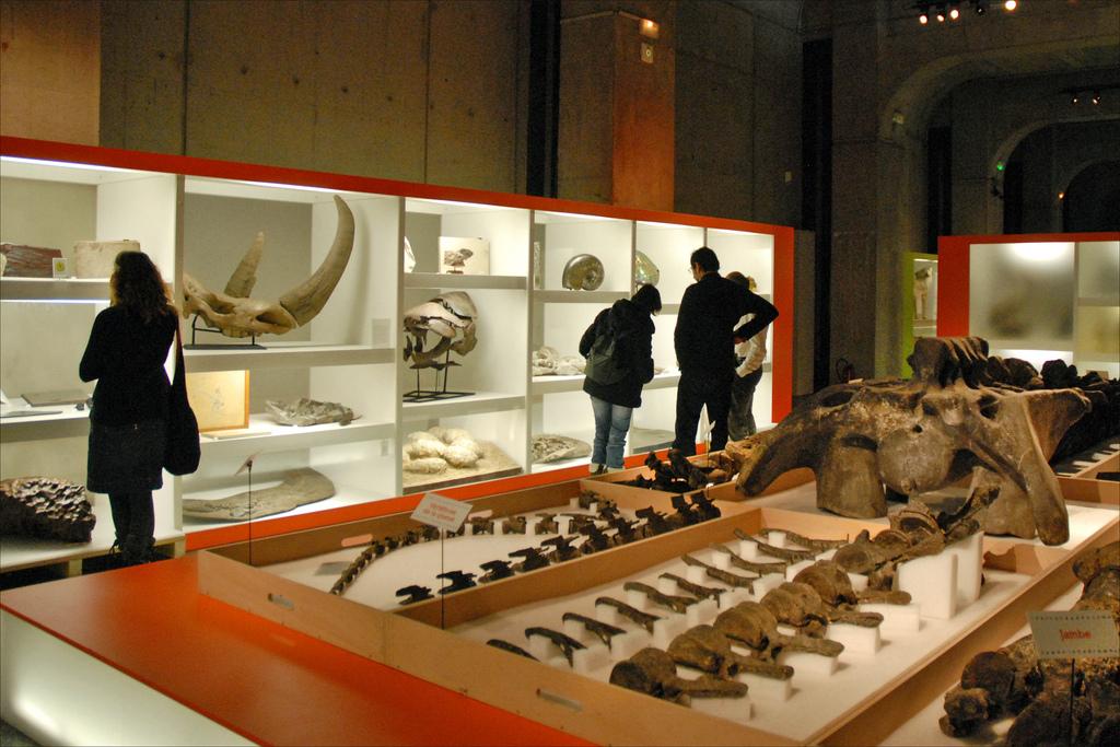 Le musée a attiré 825.000 visiteurs pour sa première année