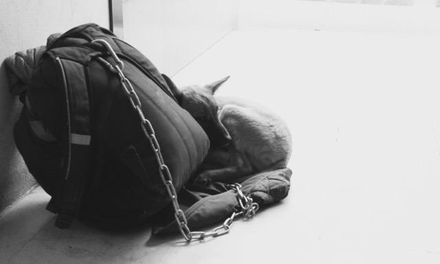 Depuis le décès à cause du sida, d'un jeune, Simba ne se pique plus