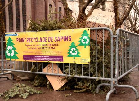 Photos: Les derniers jours de ton sapin de Noël 