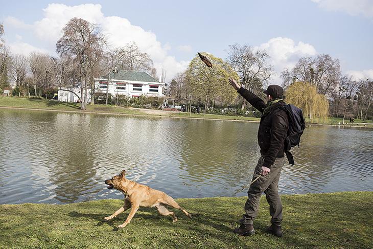 Le chien aussi habite en camion