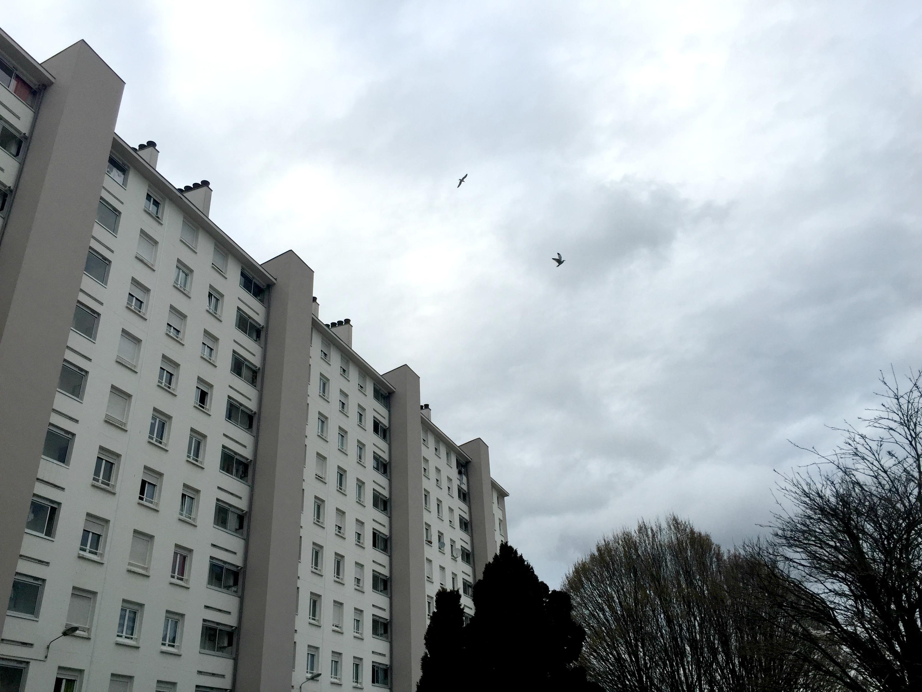 Babacar avance à son tour vers le palier. Il est dans un état de panique intense.