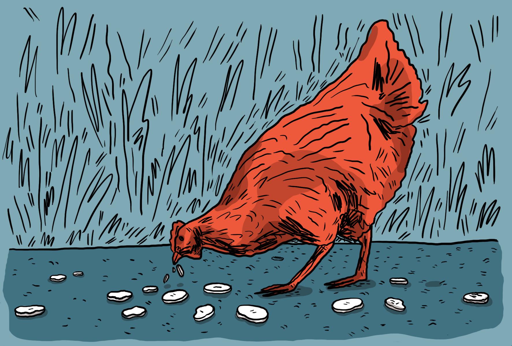 Après la vache de la Haine, la poule de Sken' City.