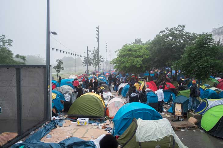 La petite jungle du jardin d’Eol