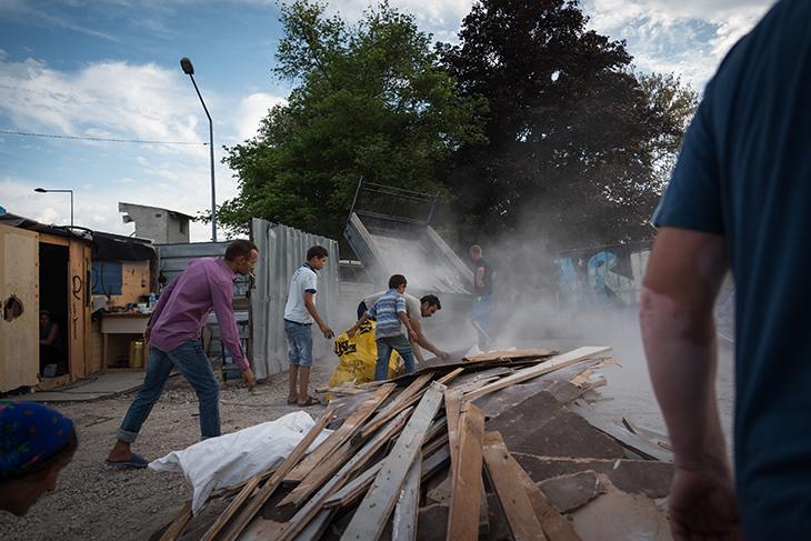 La récolte du jour.