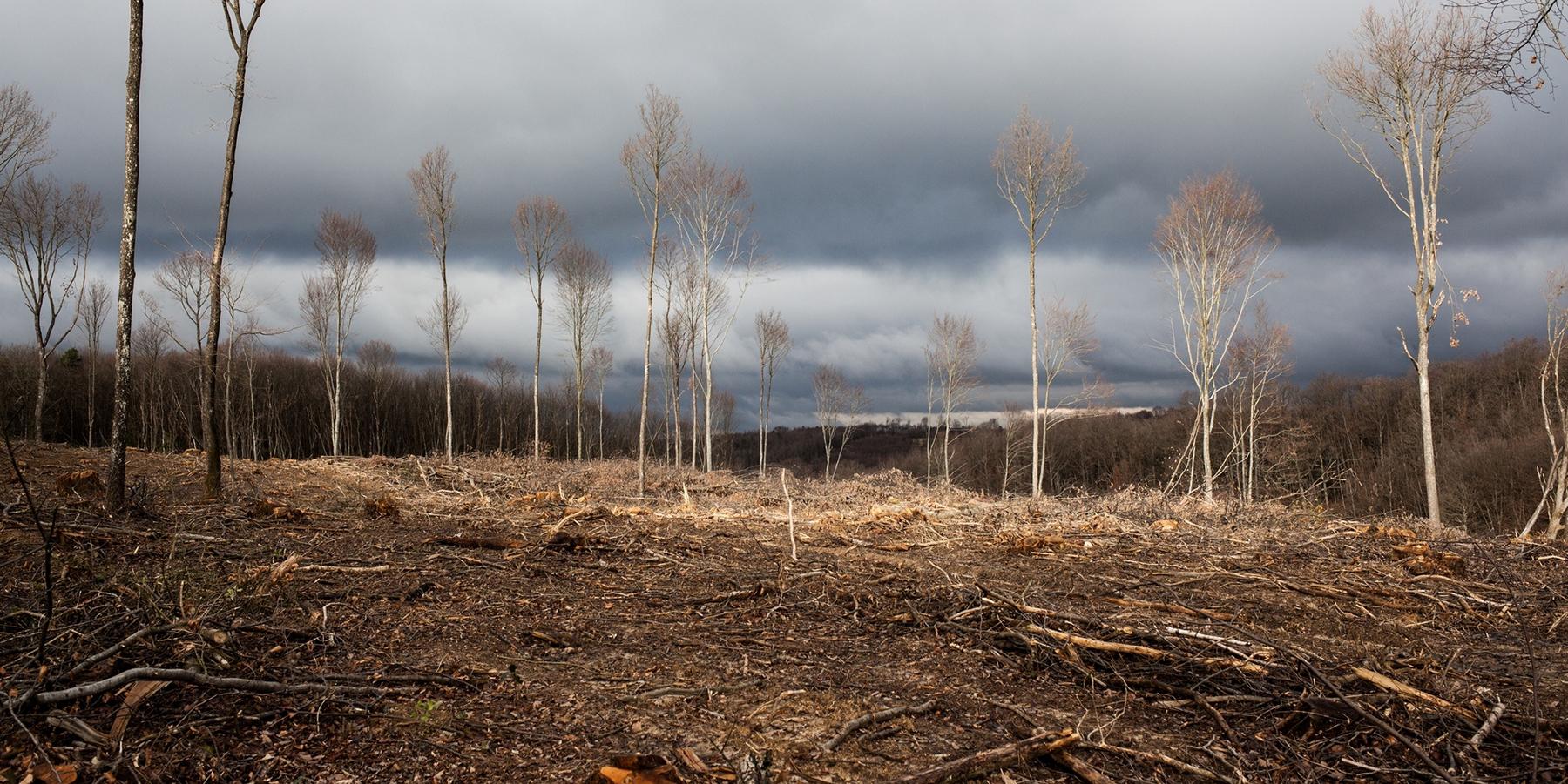 Les élus suppriment massivement les aides aux opposants au Center Parcs