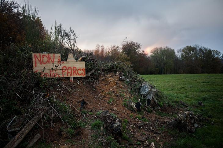 Plusieurs enquêtes ont démontré l'impact du projet sur l'environnement.
