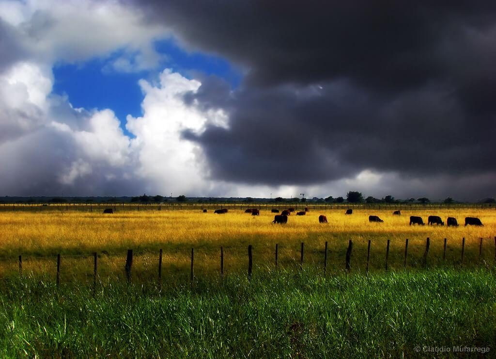 Pourquoi le vaccin fait flipper les Français