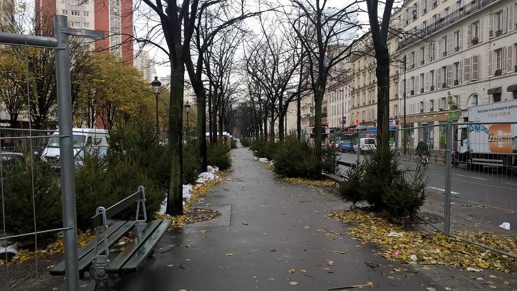 Un joli marché de Noël avec des centaines de sapins sur la grande avenue de Flandres où campaient les réfugiés