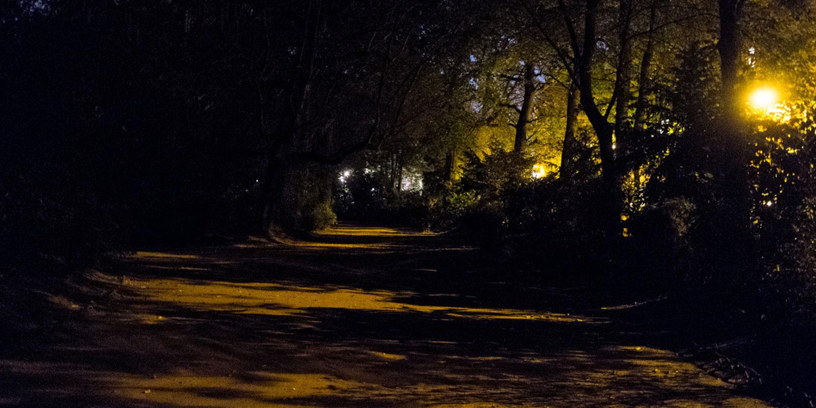 A la découverte du jardin Vauban, lieu de drague gay à Lille