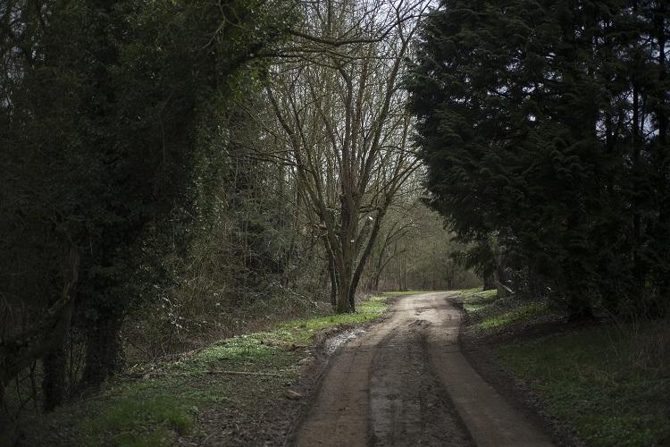 Ce jeudi 22 février 2016, il est approximativement 11h30 quand le CRS de 35 ans met fin à ses jours en lisière d’un grand parc qui borde les locaux de la direction Zonale des CRS