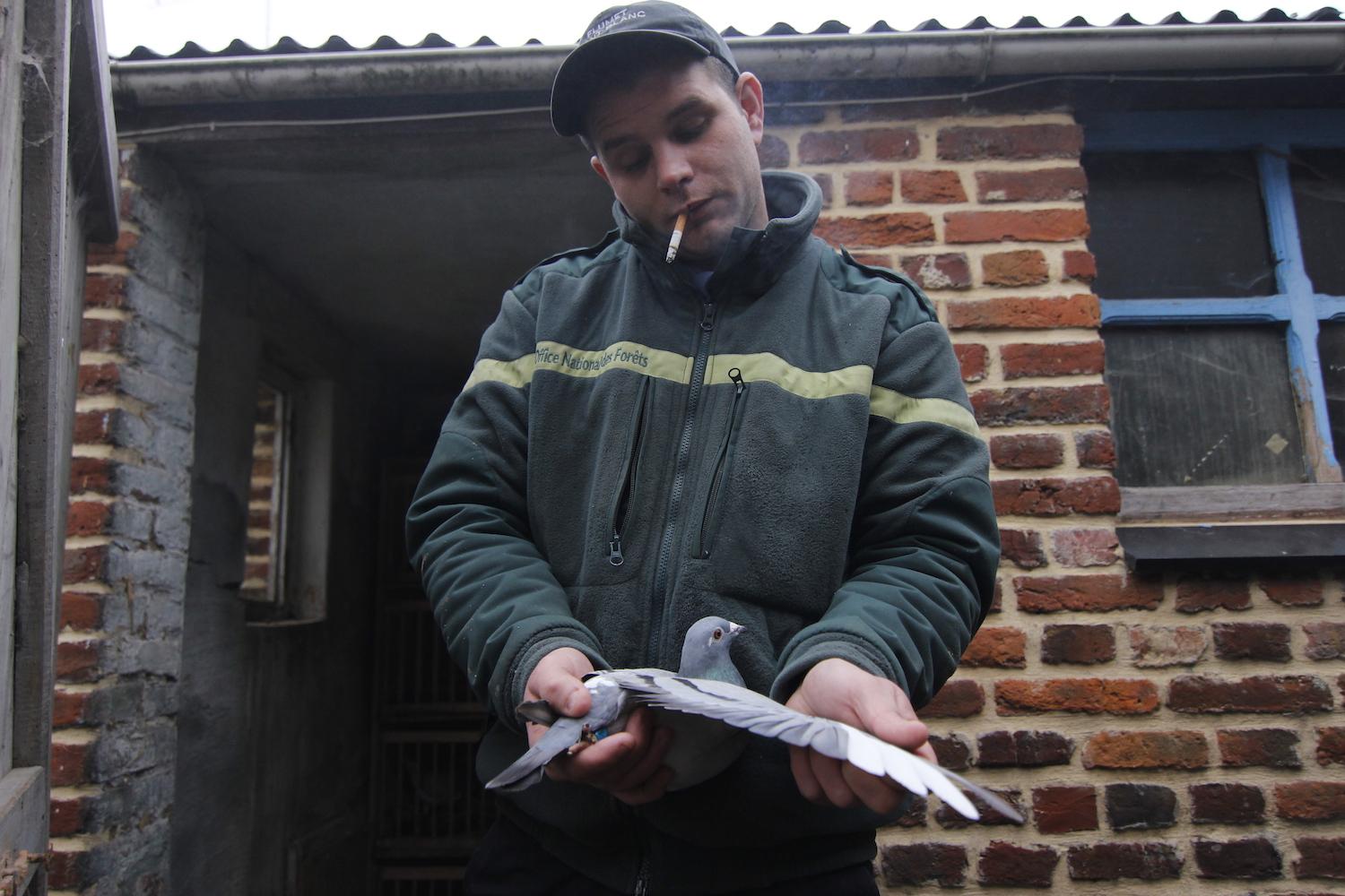 Des ailes de compèt