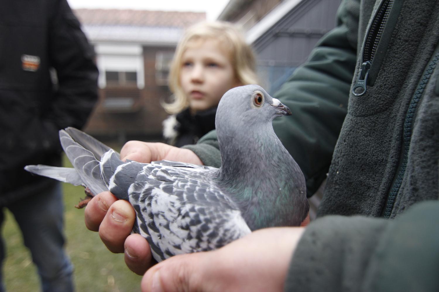 Kévin aimerait bien que la petite prenne la relève.