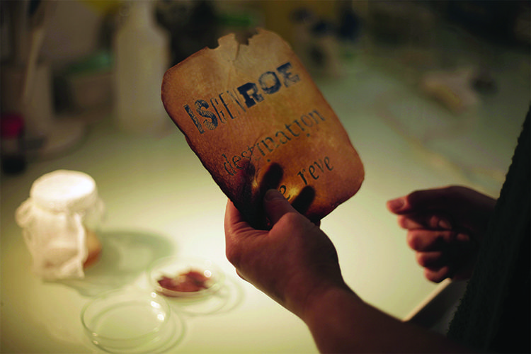 Le cuir naturel et bio-dégradabl