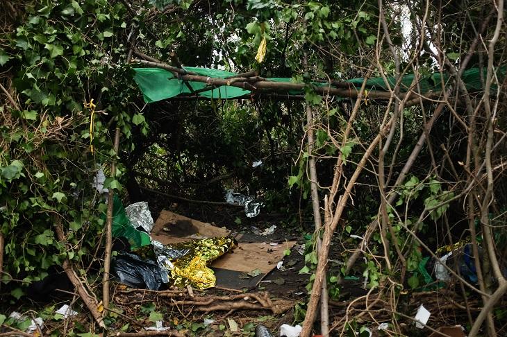 Dans la jungle, terrible jungle..