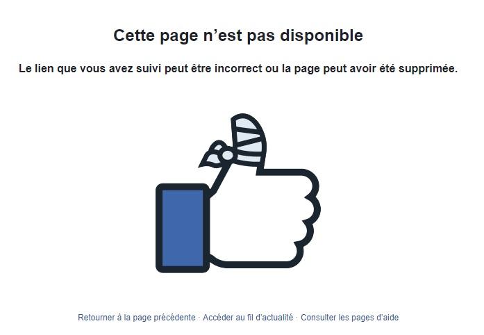 Facebook ferme les comptes de Soral et d'Egalité et Réconciliation