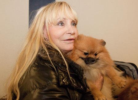 Paris Dog Show: Les chiens?« C'est comme des enfants, finalement »