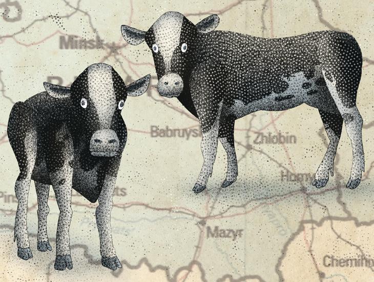 « En tout cas, c’est dommage. Il adore les vaches, et faisait un super boulot. 