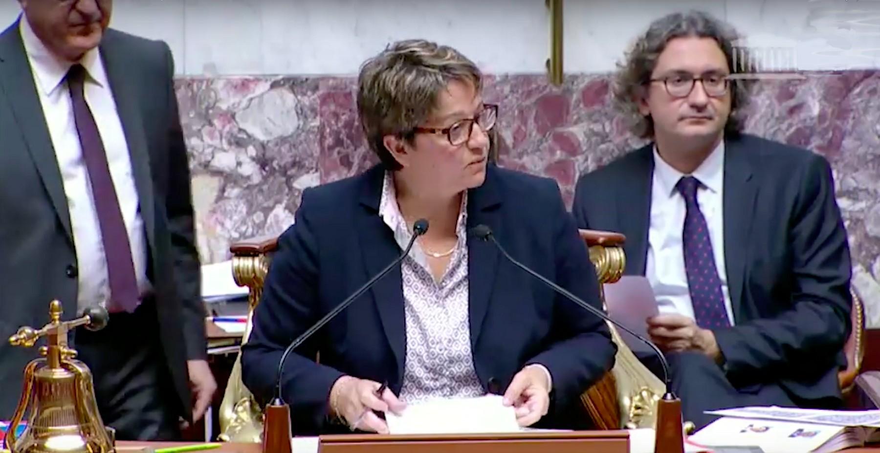 La vice-présidente LREM de l’Assemblée Nationale dîne avec l’un des responsables du génocide au Darfour