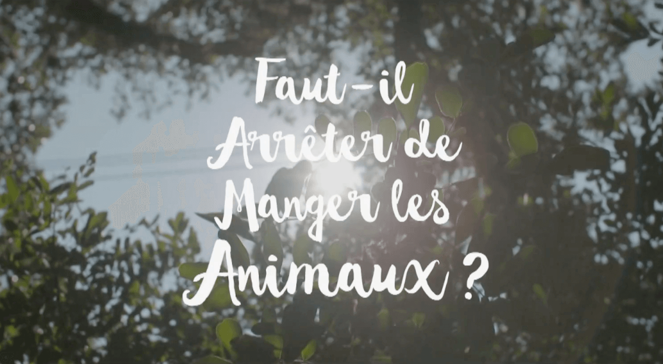 L'agglomération de Château-Thierry censure un documentaire qui critique l’élevage intensif