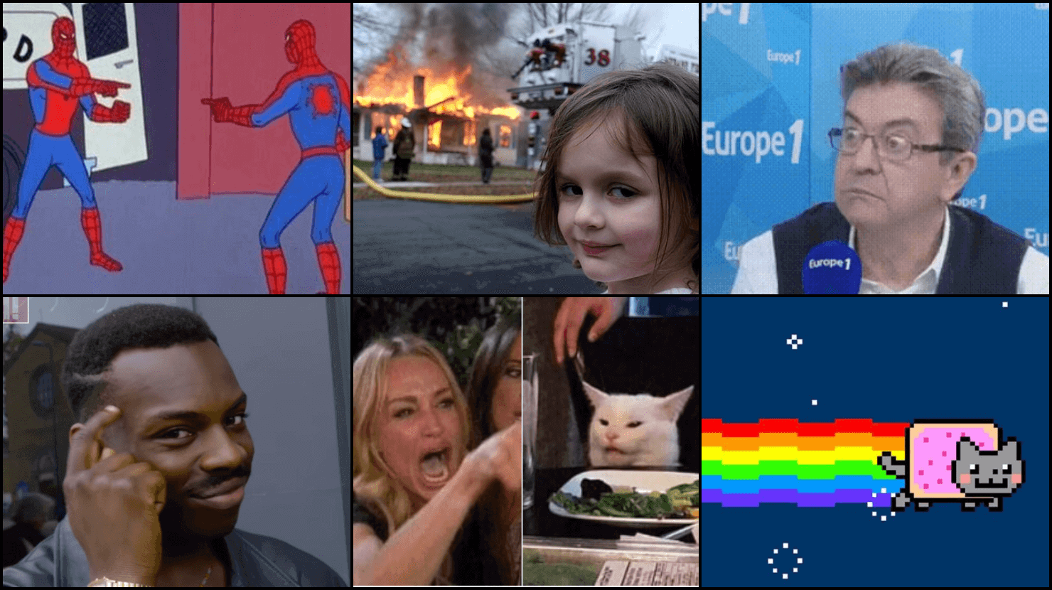 Les neurchis de mèmes, une sous-culture web très politique