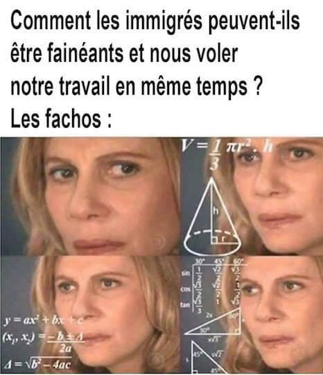 Les mèmes et les neurchis s'engagent souvent sur le terrain politique.
