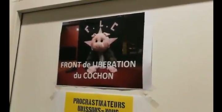 L'affiche « du front de libération des cochons » est un visuel tiré d'une campagne islamophobe diffusée par le Bloc identitaire en 2011. 