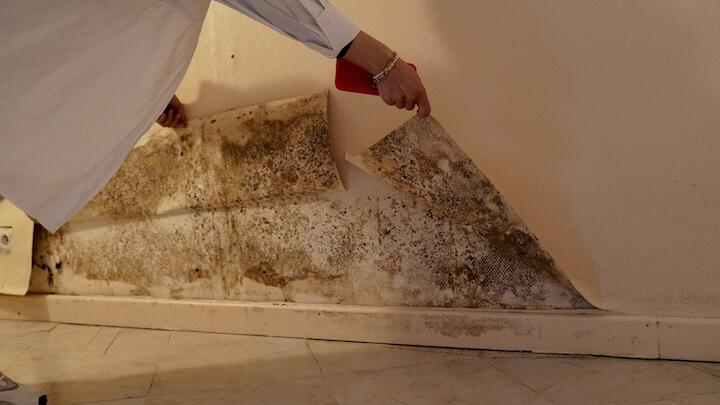 Pour se faire entendre, la famille compte manifester le 22 avril 2021 devant la mairie de Pierrefitte