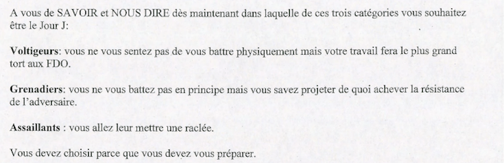 Pour RDW et Francis Maginot, les militants pour destituer la République seraient divisés en trois, les « voltigeurs », les « grenadiers » et les « assaillants ».
