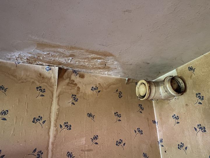 L’appartement englobe toutes les problématiques possibles : compteurs et prises électriques d’une autre époque, poussière, moisissure, papier peint gondolé, odeur pestilentielle