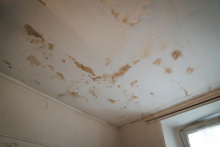 Le plafond de Daaou est recouvert de moisissures à cause de l'humidité