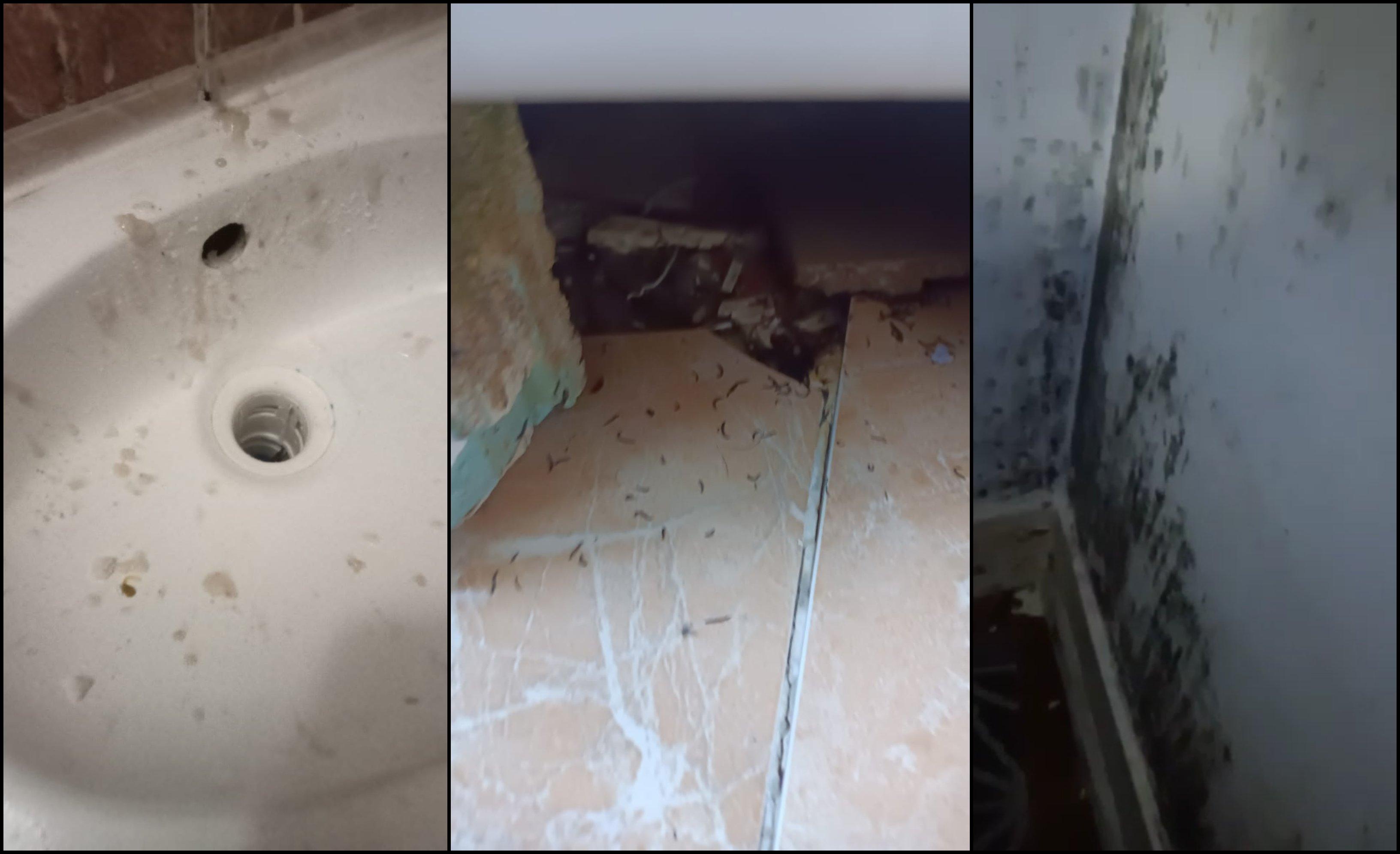 Pour illustrer son récit, Fatou fait défiler les photos sur son téléphone. On y voit les murs remplis de moisissures, des larves sous un lavabo et le sol rongé par l'humidité