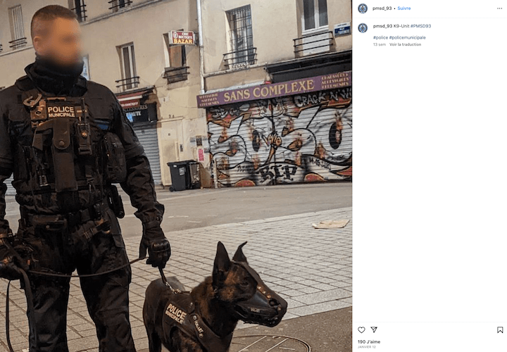 La police municipale de Saint-Denis dispose d'une brigade cynophile avec trois chiens : berger allemand, hollandais ou malinois