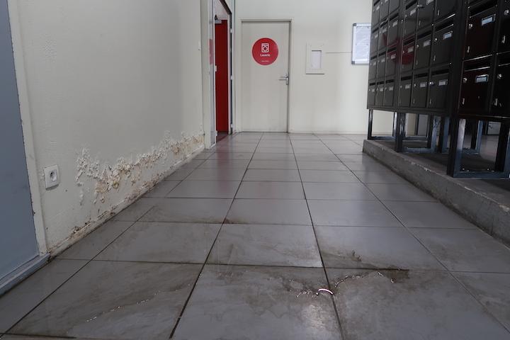 À la résidence étudiante de Stains, une fuite d'eau dans l'entrée n'est pas réparée depuis plusieurs mois