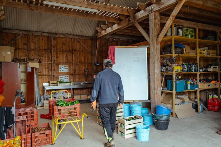 Un programme de réinsertion d’une durée de six à 12 mois, qui permet d’apprendre un métier, mais aussi de préparer progressivement la liberté