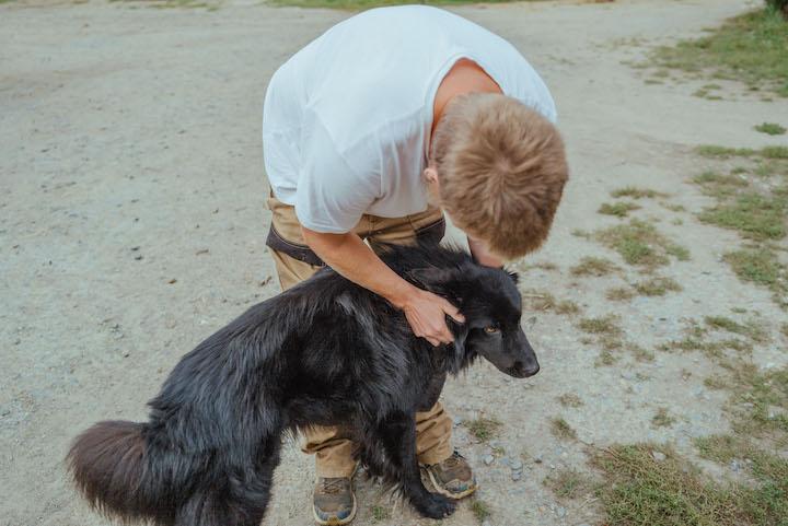 Simcoe, la mascotte de l’établissement