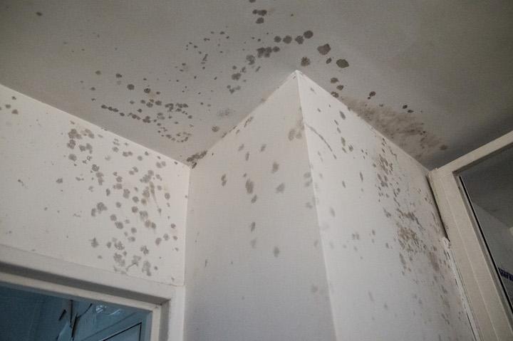 StreetPress a pu consulter un rapport du service hygiène et salubrité de Maisons-Alfort attestant d’un taux d’humidité de 78,8%